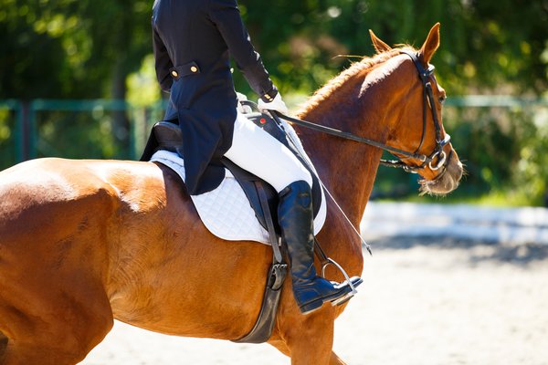Sports and patents: Part one – A ride in the saddle