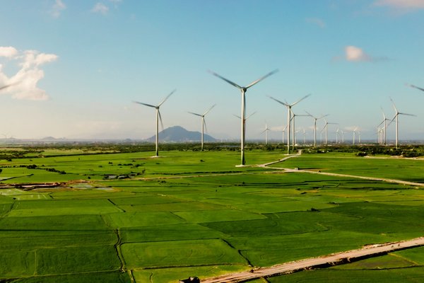 Adamson Jones clients enter running for prestigious Earthshot Prize