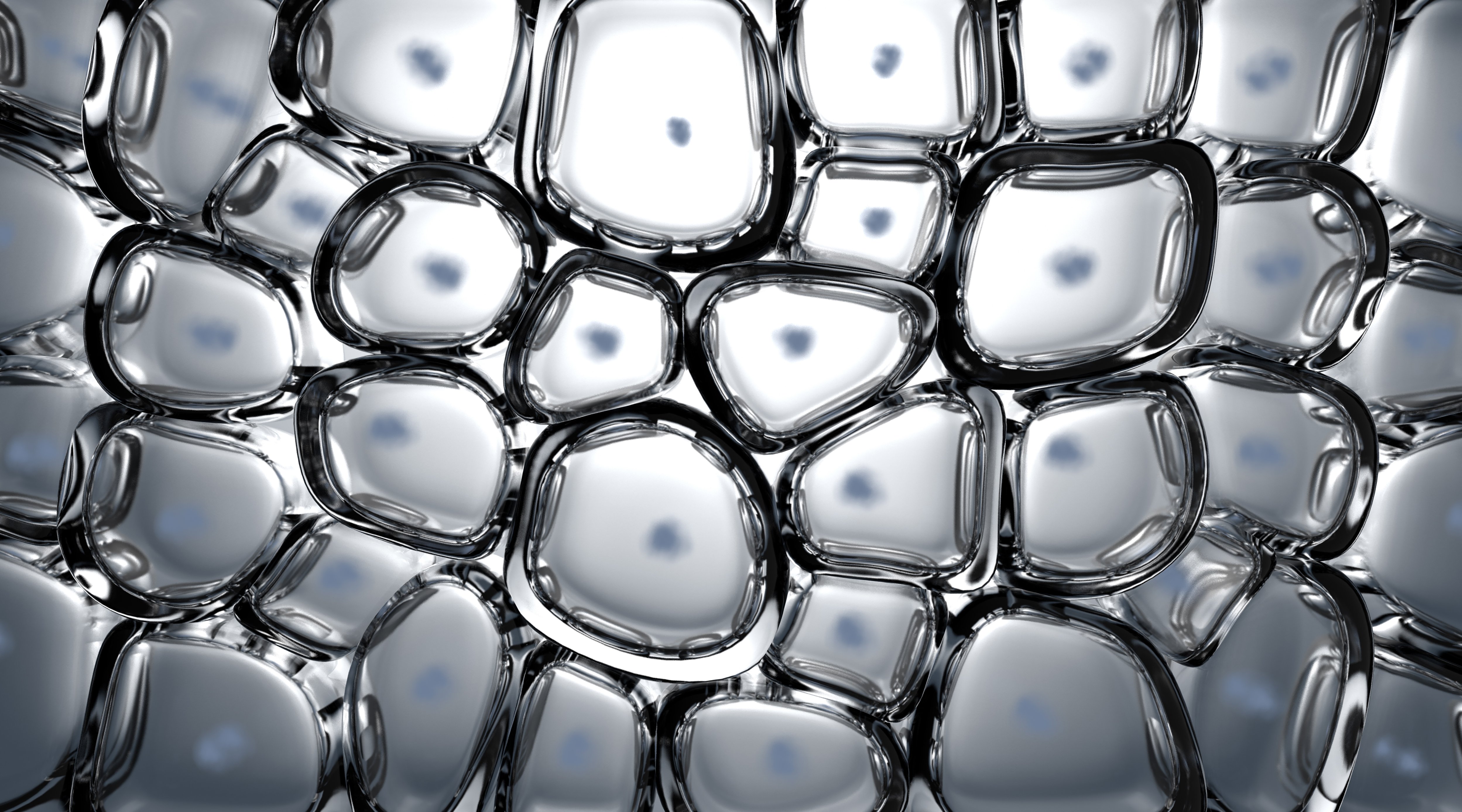 Photo of cells under microscope