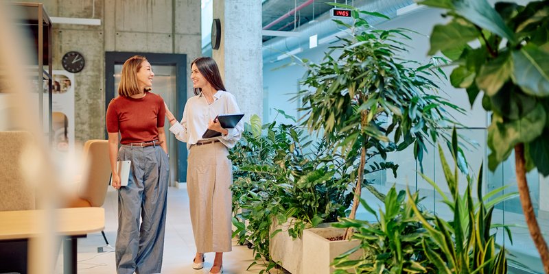 IP essentials for start-ups pack