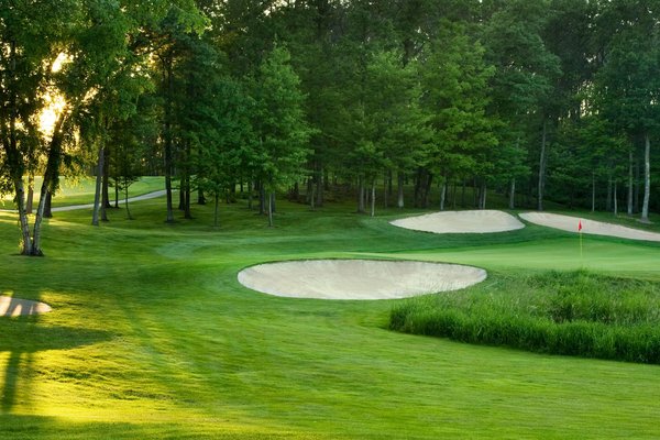 Teeing off for charity